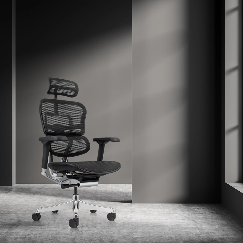 SILLA FORM OFFICE NEGRO ERGOHUMAN ELITE 2 - 2