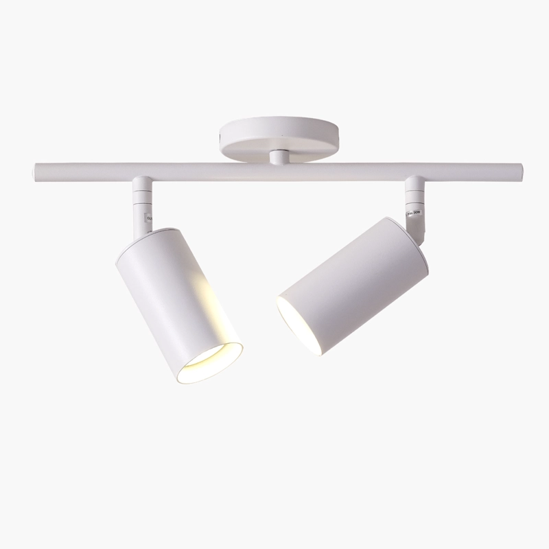 LAMPARA DE TECHO KELSEY X2 BLANCO FORM - 5