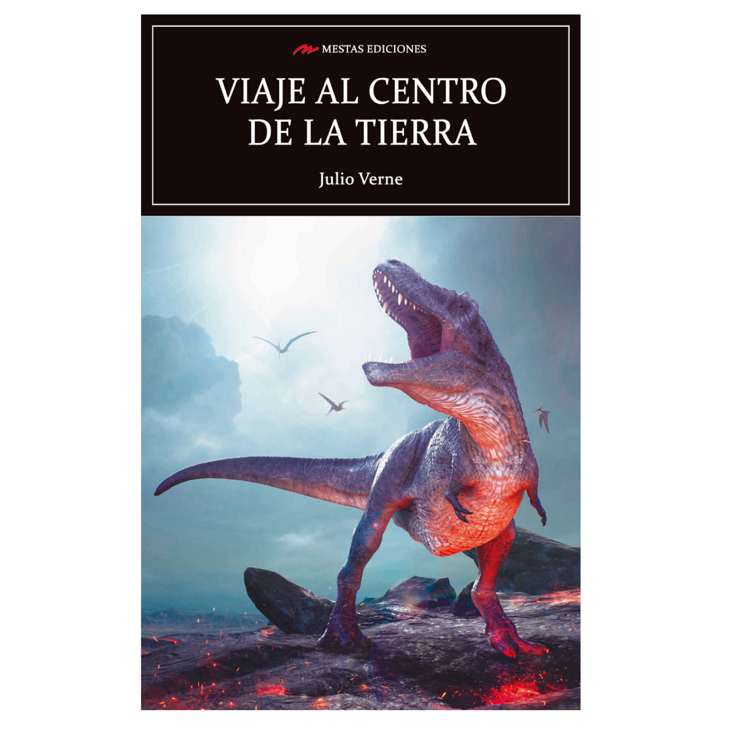 LIBRO VIAJE AL CENTRO DE LA TIERRA - VERNE, JULIO - 1