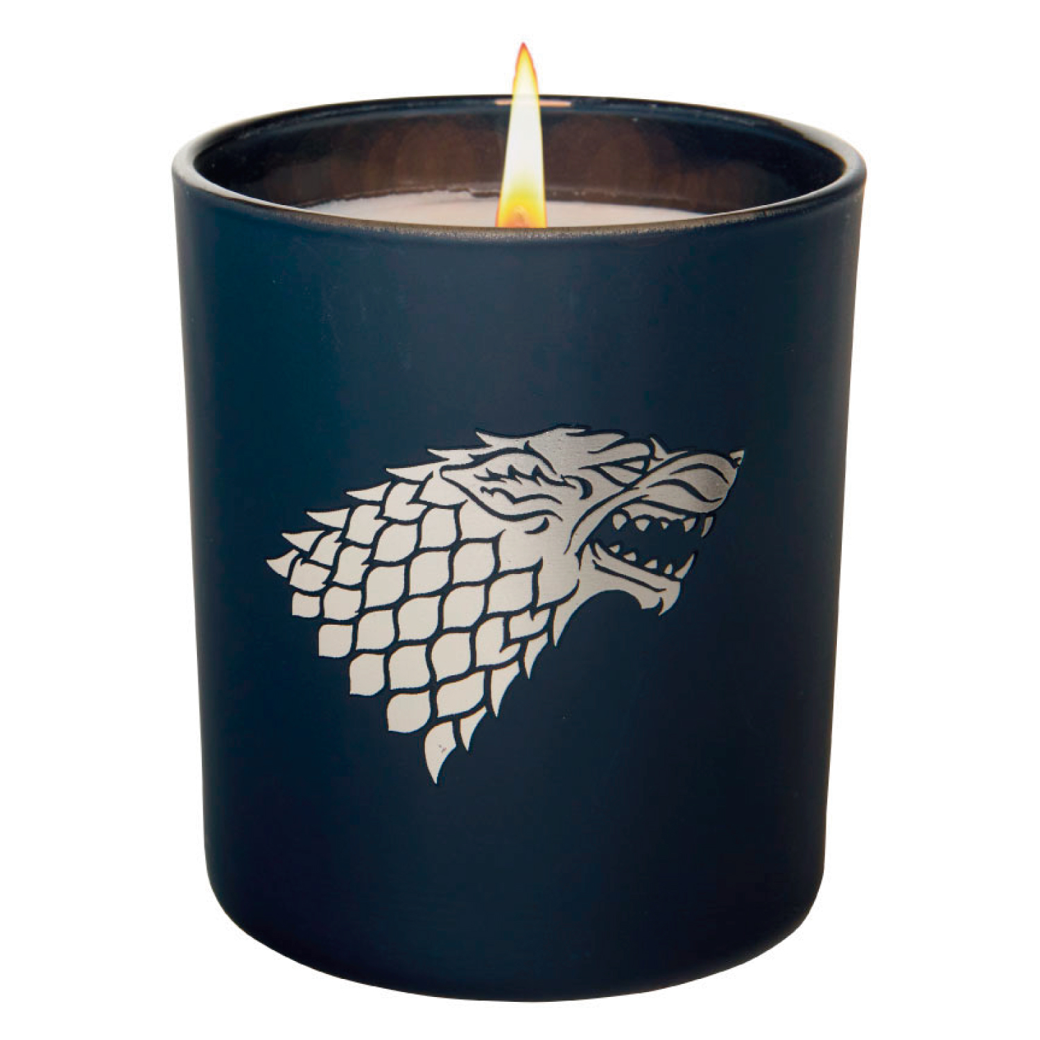 NOVELA JUVENIL GAME OF THRONES HOUSE STARK VASO Y VELA, JUEGO DE TRONOS INSIGHT - 1