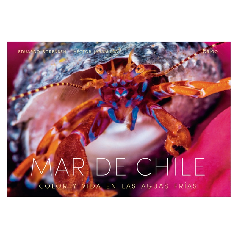 MAR DE CHILE (TAPA DURA) - 1