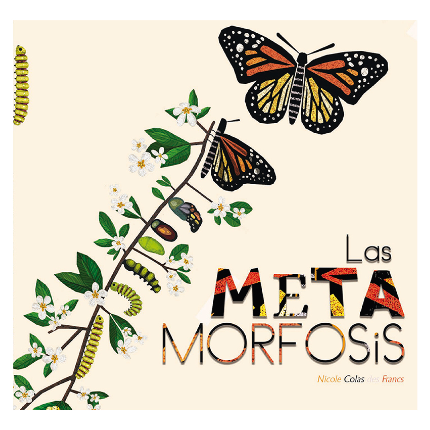 LIBRO LAS METAMORFOSIS - DES FRANCS, NICOLE COLAS - 2