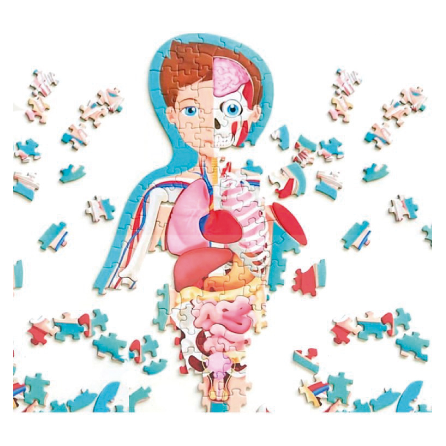 LIBRO Y PUZZLE CUERPO HUMANO - GAULE, M. - 5