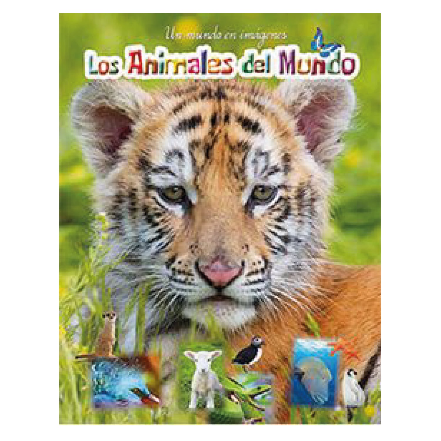 LIBRO LOS ANIMALES DEL MUNDO - EQUIPO EDITORIAL - 1