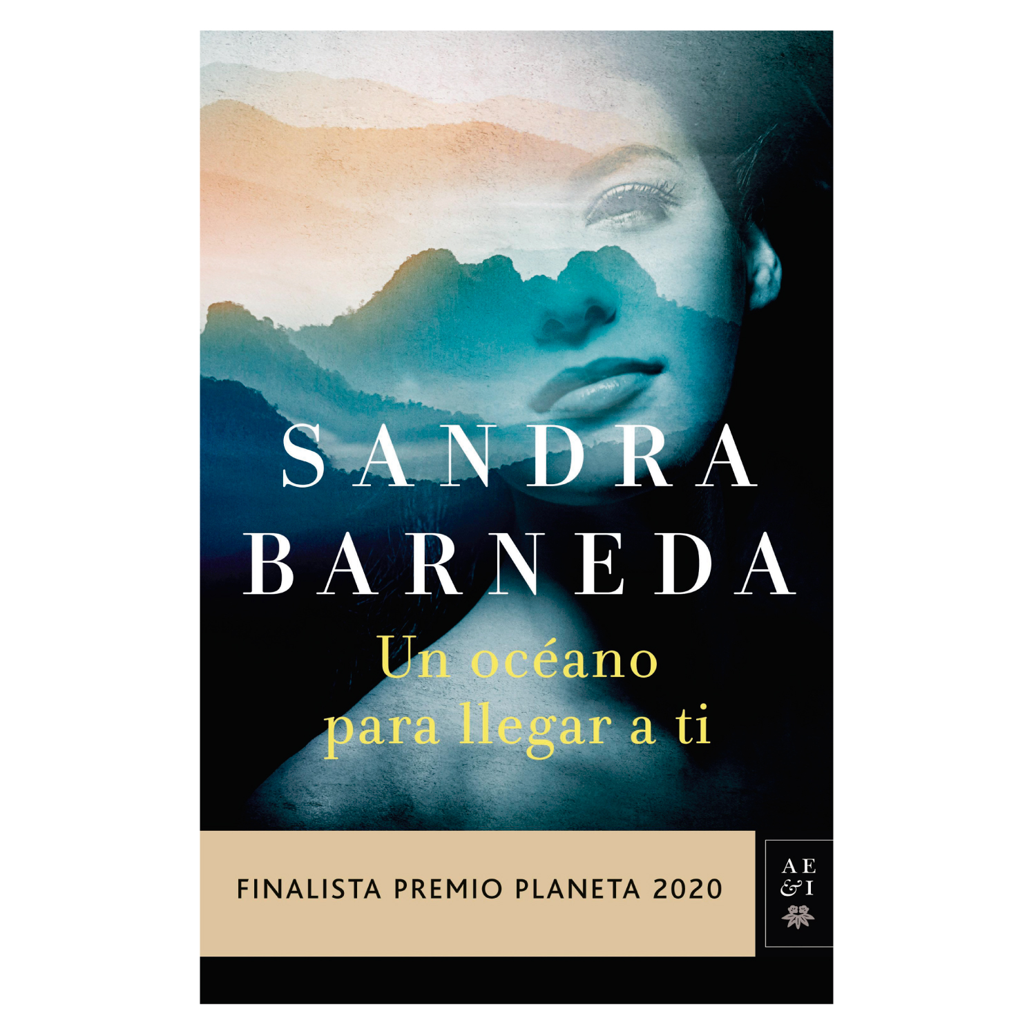 LIBRO UN OCÉANO PARA LLEGAR A TI - BARNEDA, SANDRA - 1