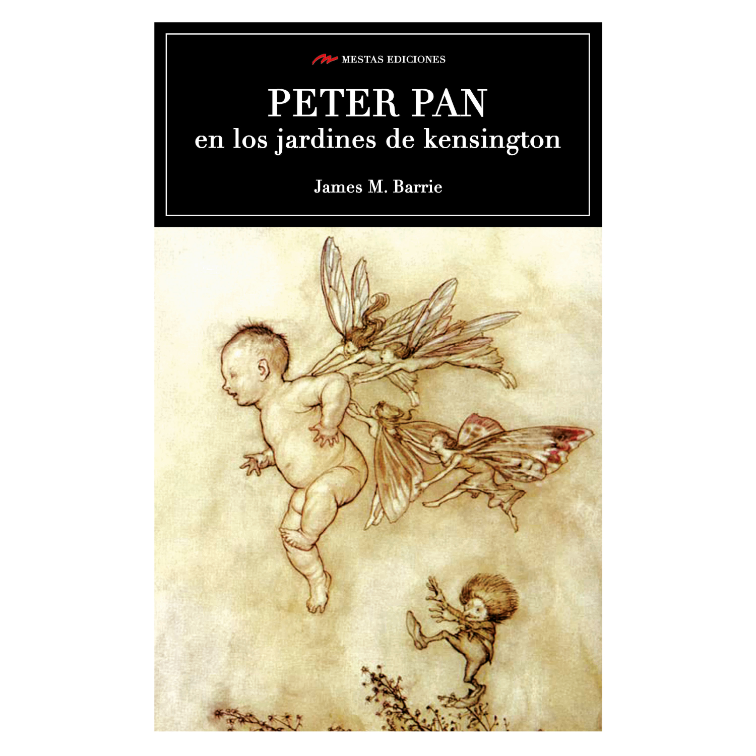 LIBRO PETER PAN EN LOS JARDINES DE KENSINGTON - BARRIE, J. M. - 1
