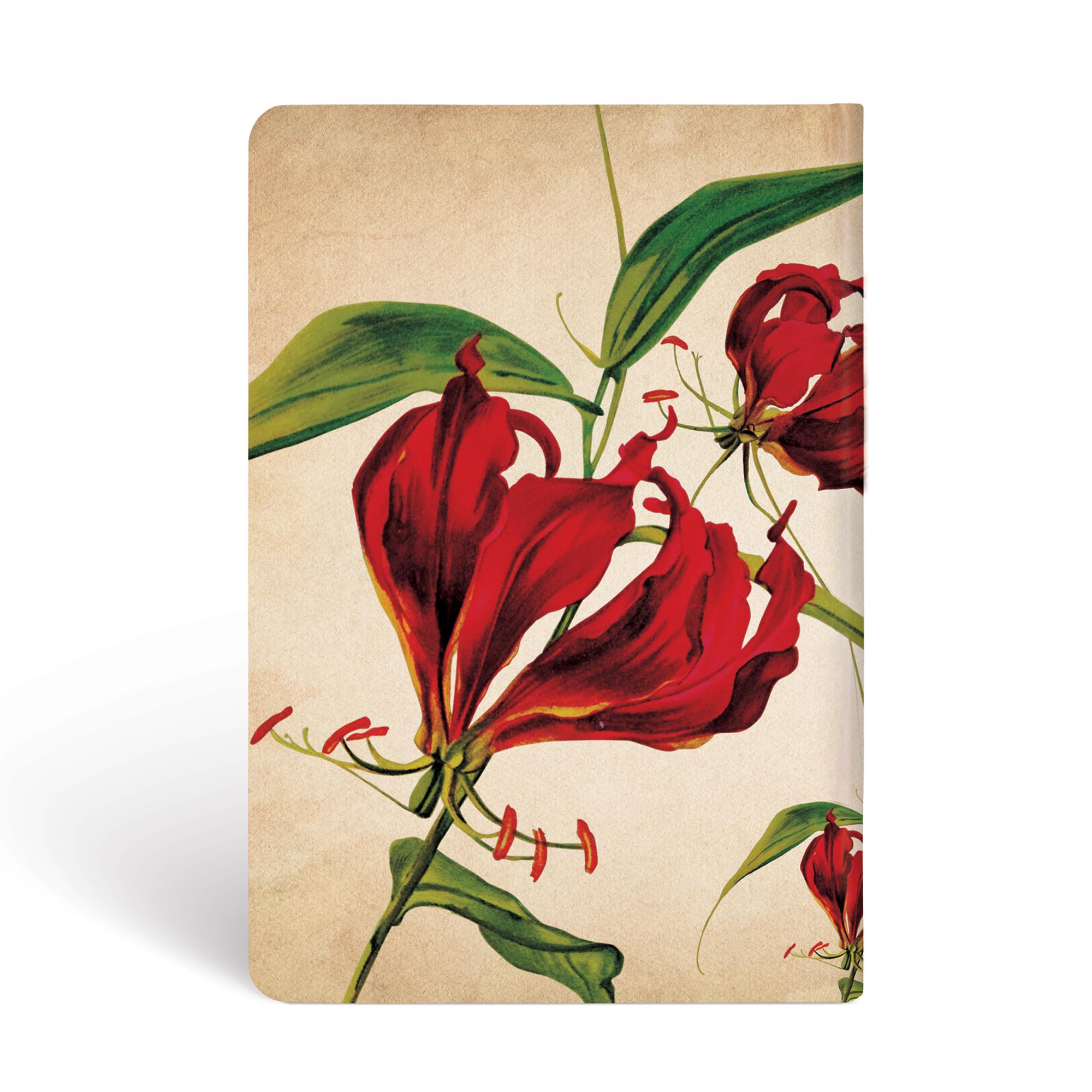 LIBRETA PAPERBLANKS GLORIOSA LILY MINI TAPA DURA - 2