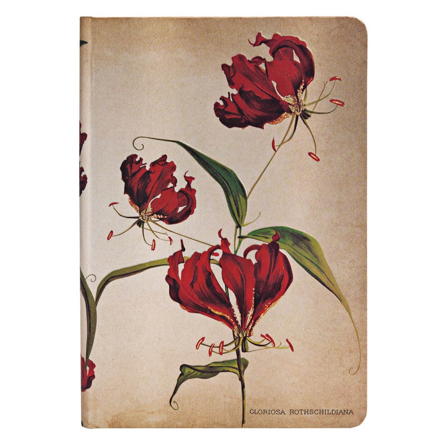 LIBRETA PAPERBLANKS GLORIOSA LILY MINI TAPA DURA - 3