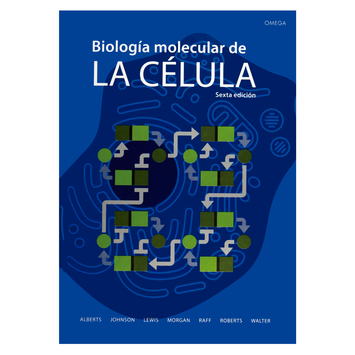 BIOLOGIA MOLECULAR DE LA CE LULA (6ª EDICION) - 1