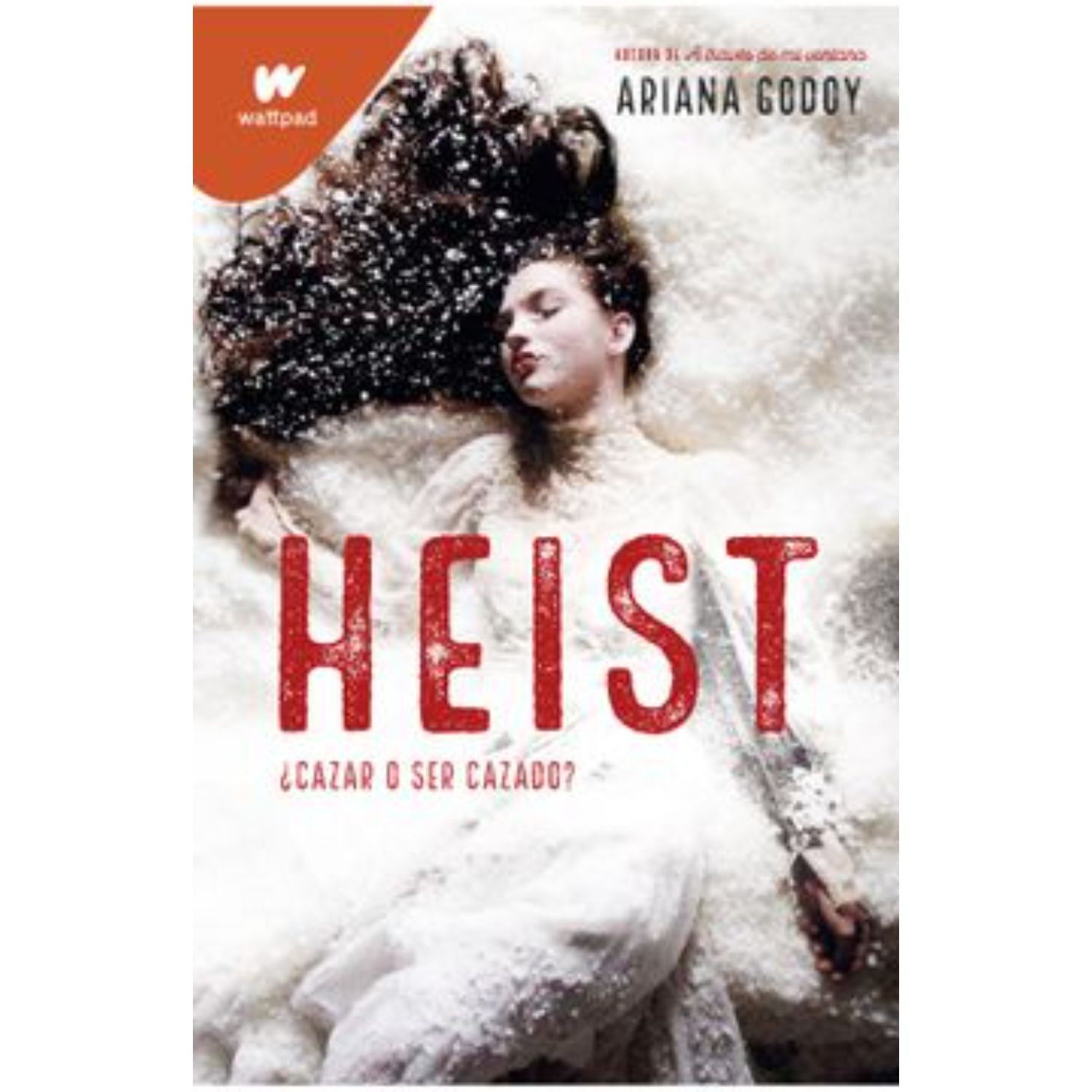 NOVELA JUVENIL HEIST GODOY, ARIANA - 1