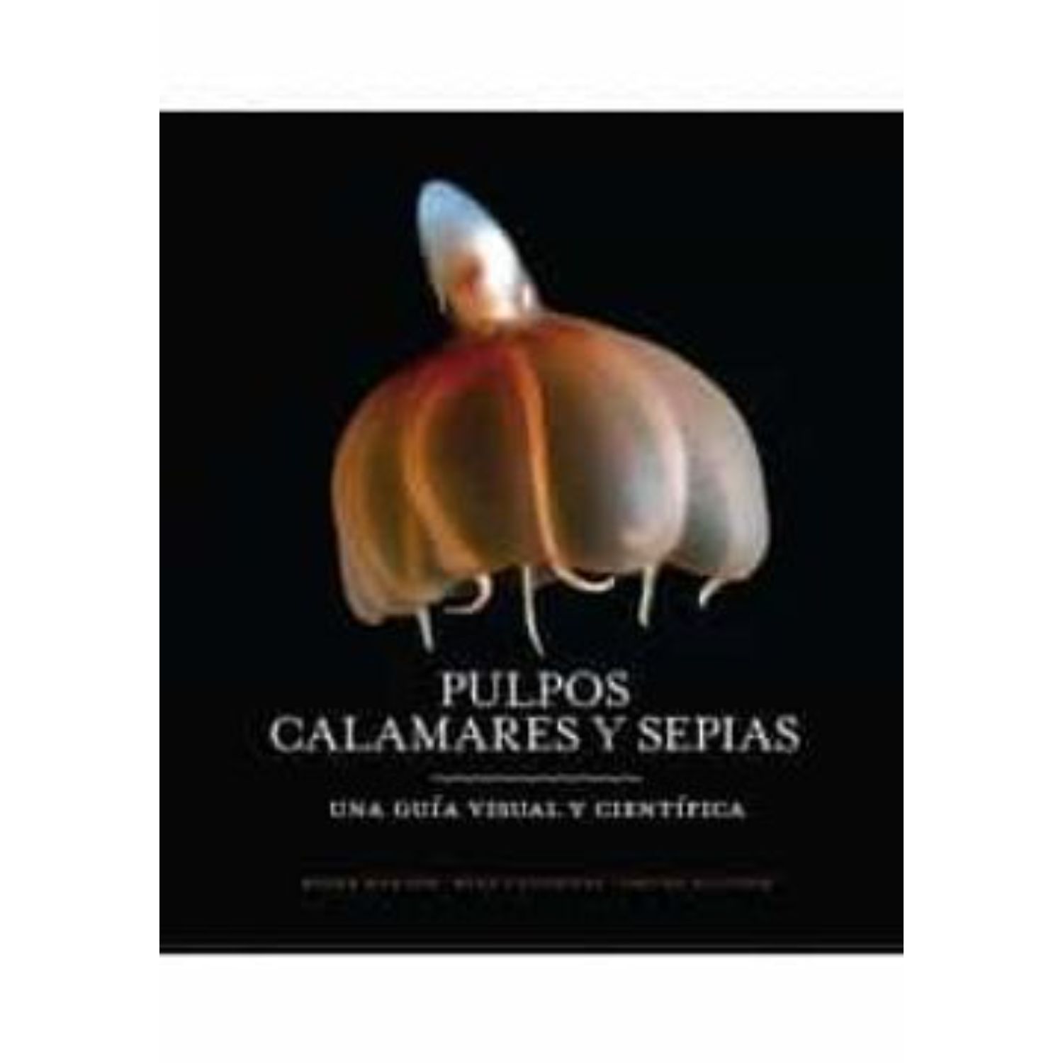 LIBRO PULPO, CALAMARES Y SEPIAS (UNA GUIA VISULA CIENTIFICA) ROGER HANLON - 1
