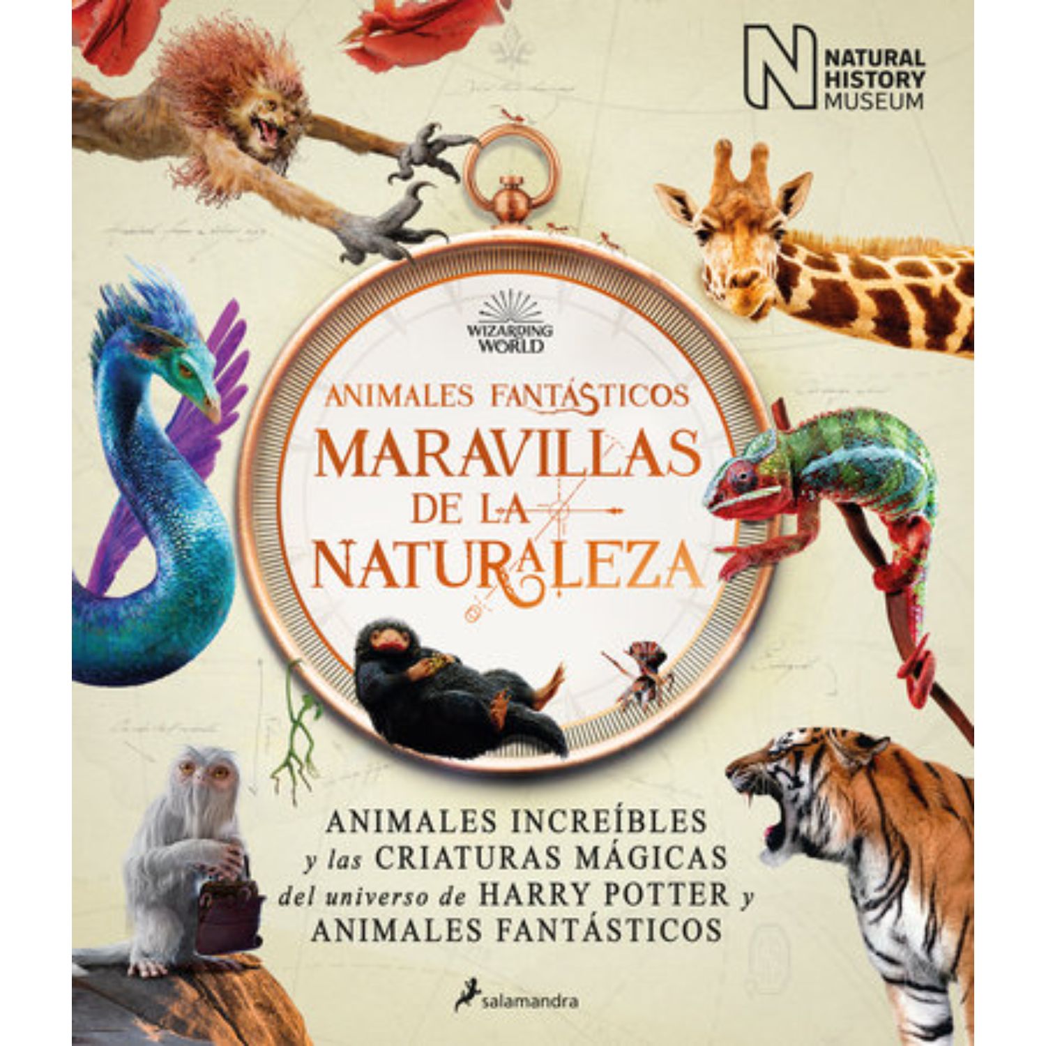 LIBRO ANIMALES FANTÁSTICOS. MARAVILLAS DE LA NATURALEZA - VARIOS AUTORES - 1