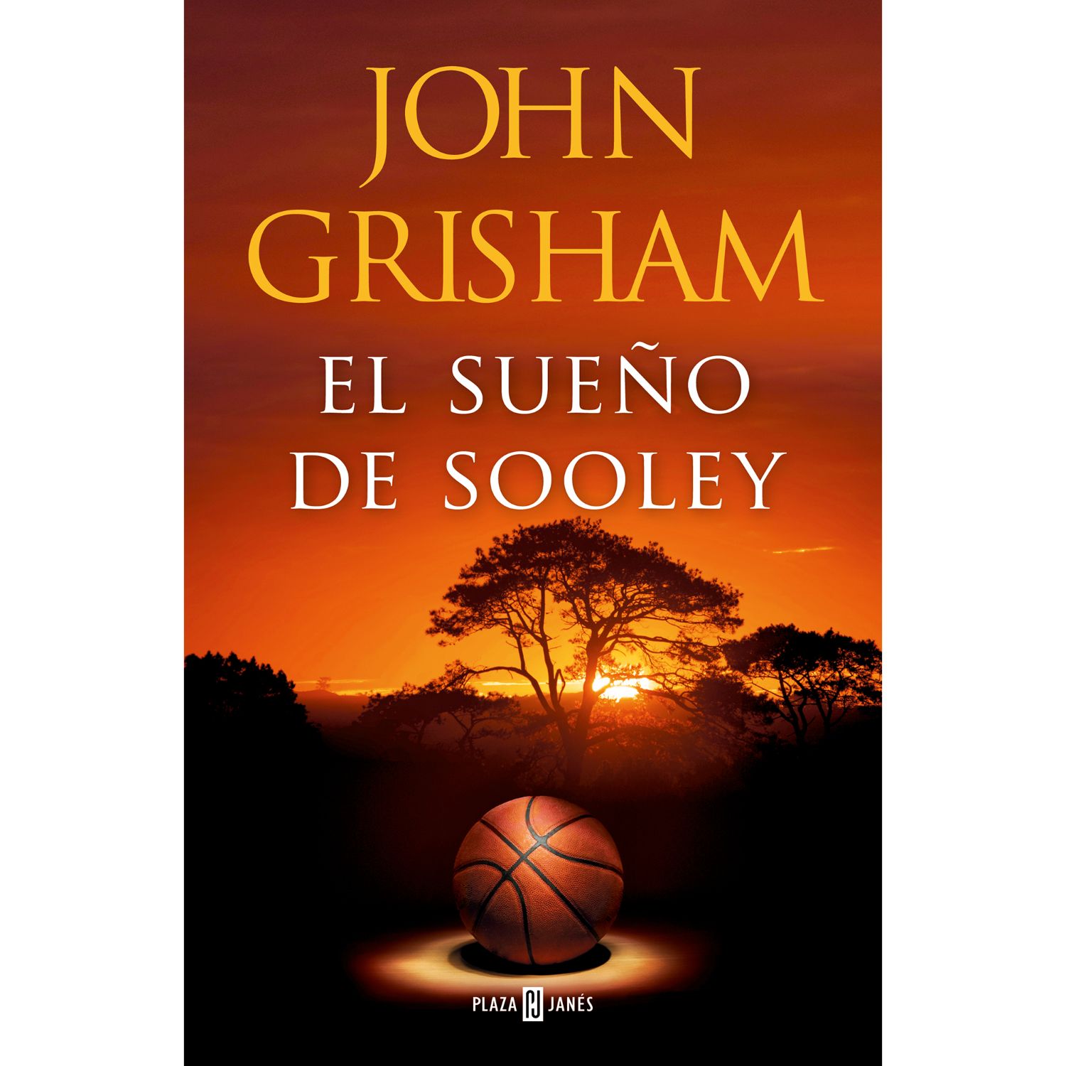 LIBRO EL SUEÑO DE SOOLEY - GRISHAM, JOHN - 1