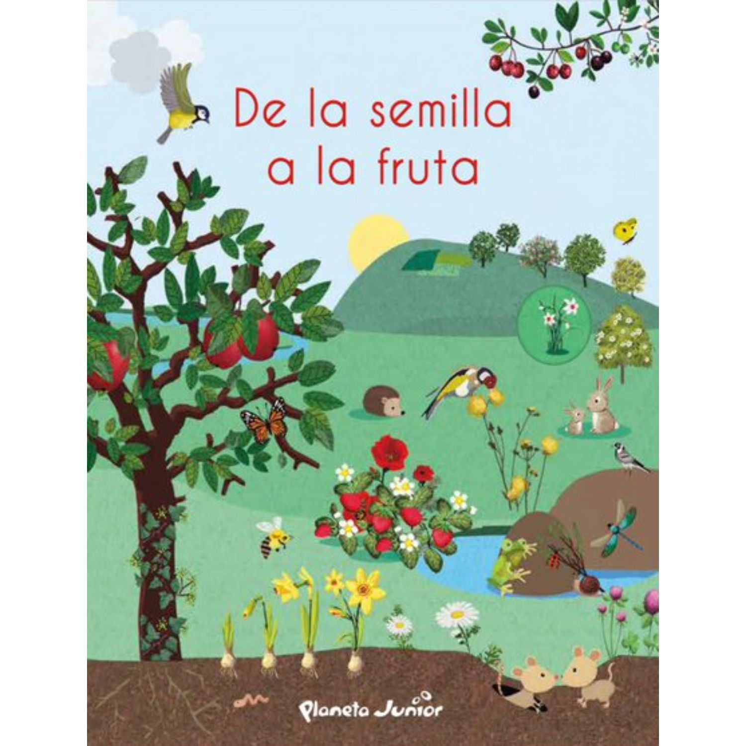 LIBRO DE LA SEMILLA A LA FRUTA - VARIOS AUTORES - 1