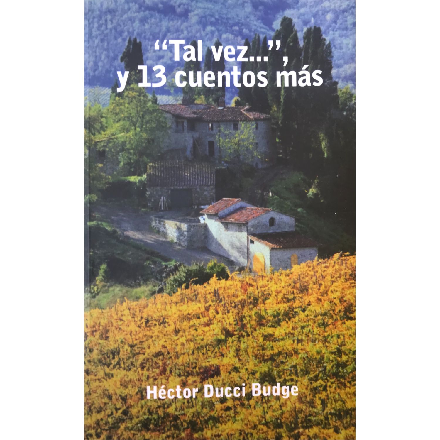 LIBRO TAL VEZ...' Y 13 CUENTOS MAS HECTOR DUCCI BUDGE - 1