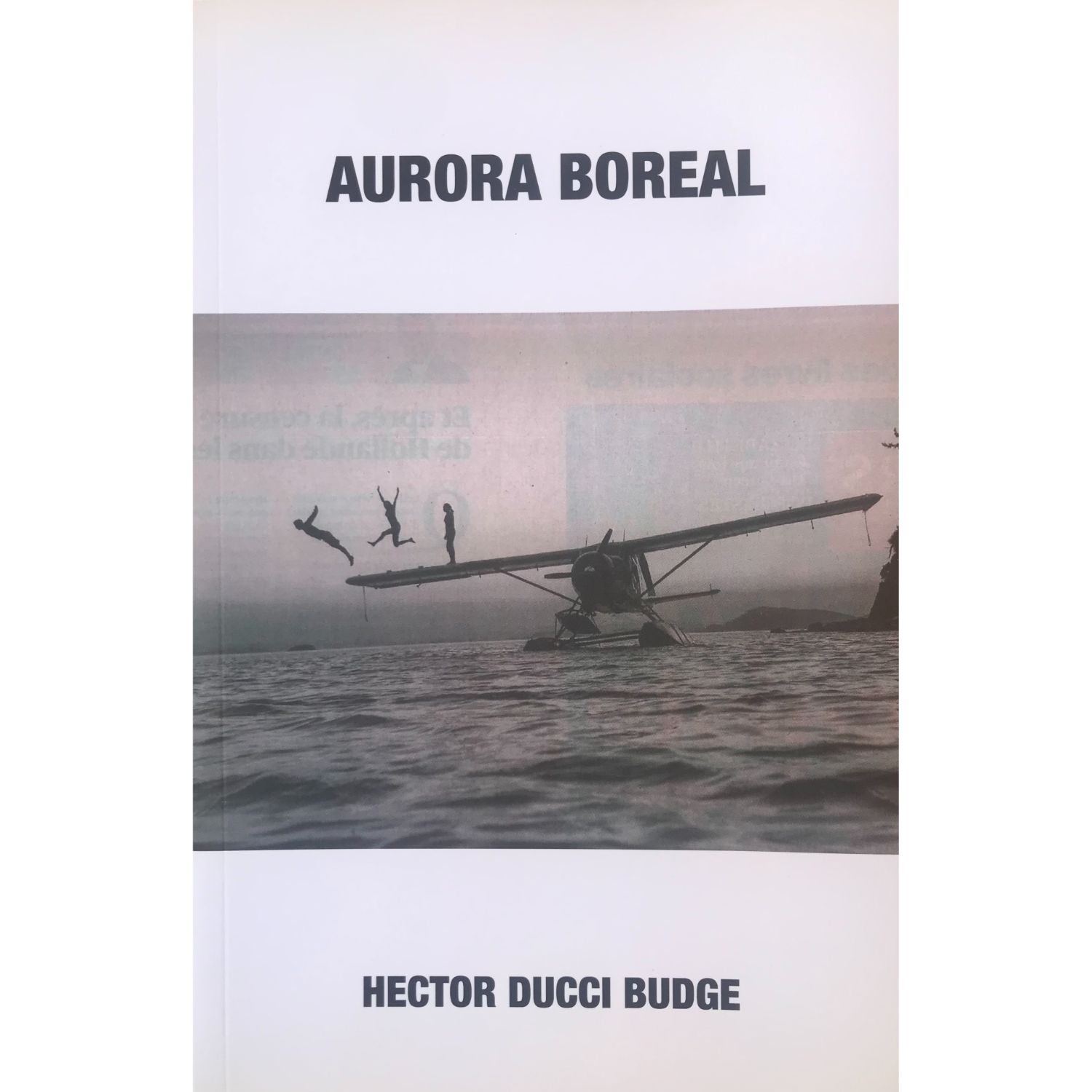 LIBRO AURORA BOREAL HECTOR DUCCI BUDGE - 1