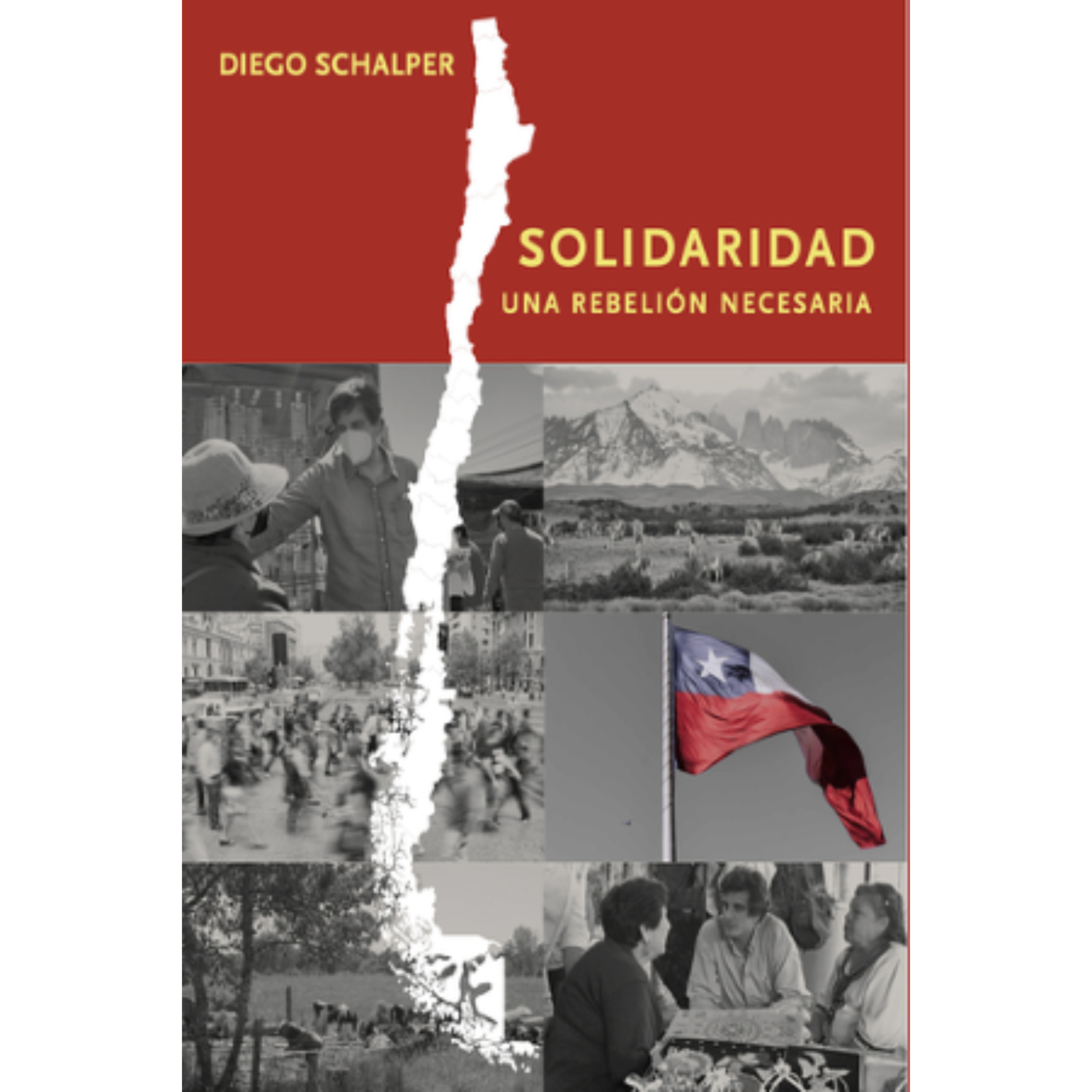 LIBRO SOLIDARIDAD, UNA REBELION NECESARIA DIEGO SCHALPER - 1