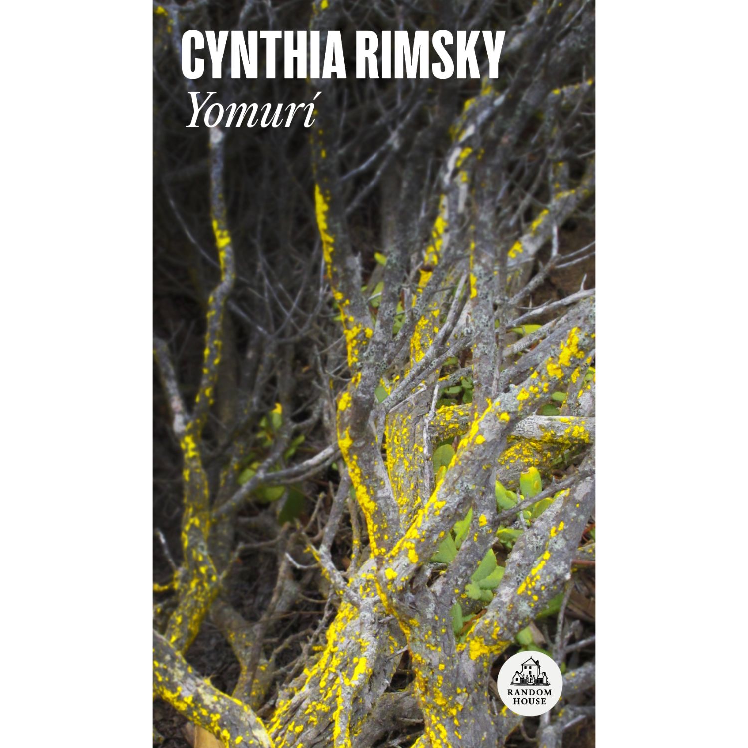 LIBRO YOMURI CYNTHIA RIMSKY - 1