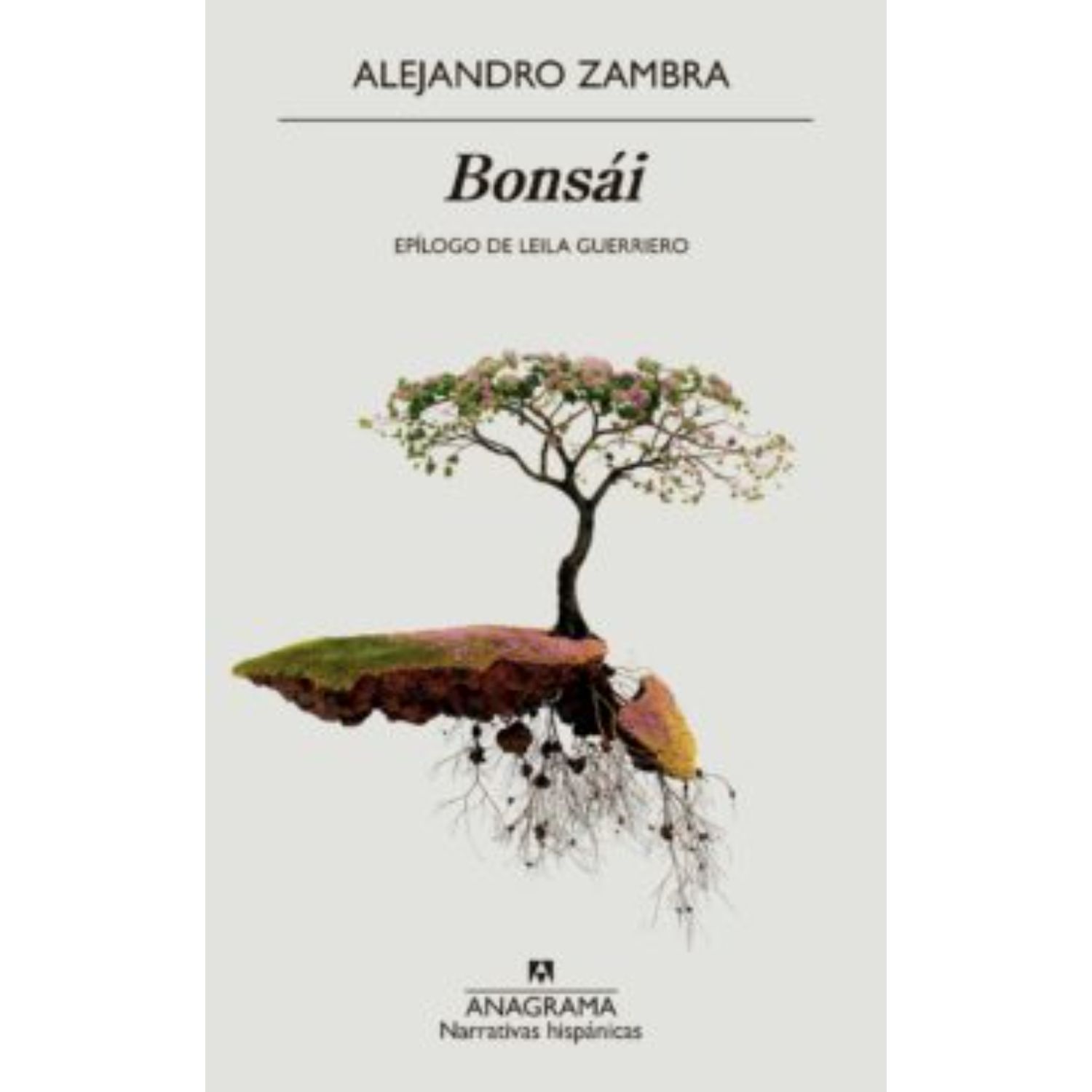 LIBRO BONSAI ALEJANDRO ZAMBRA