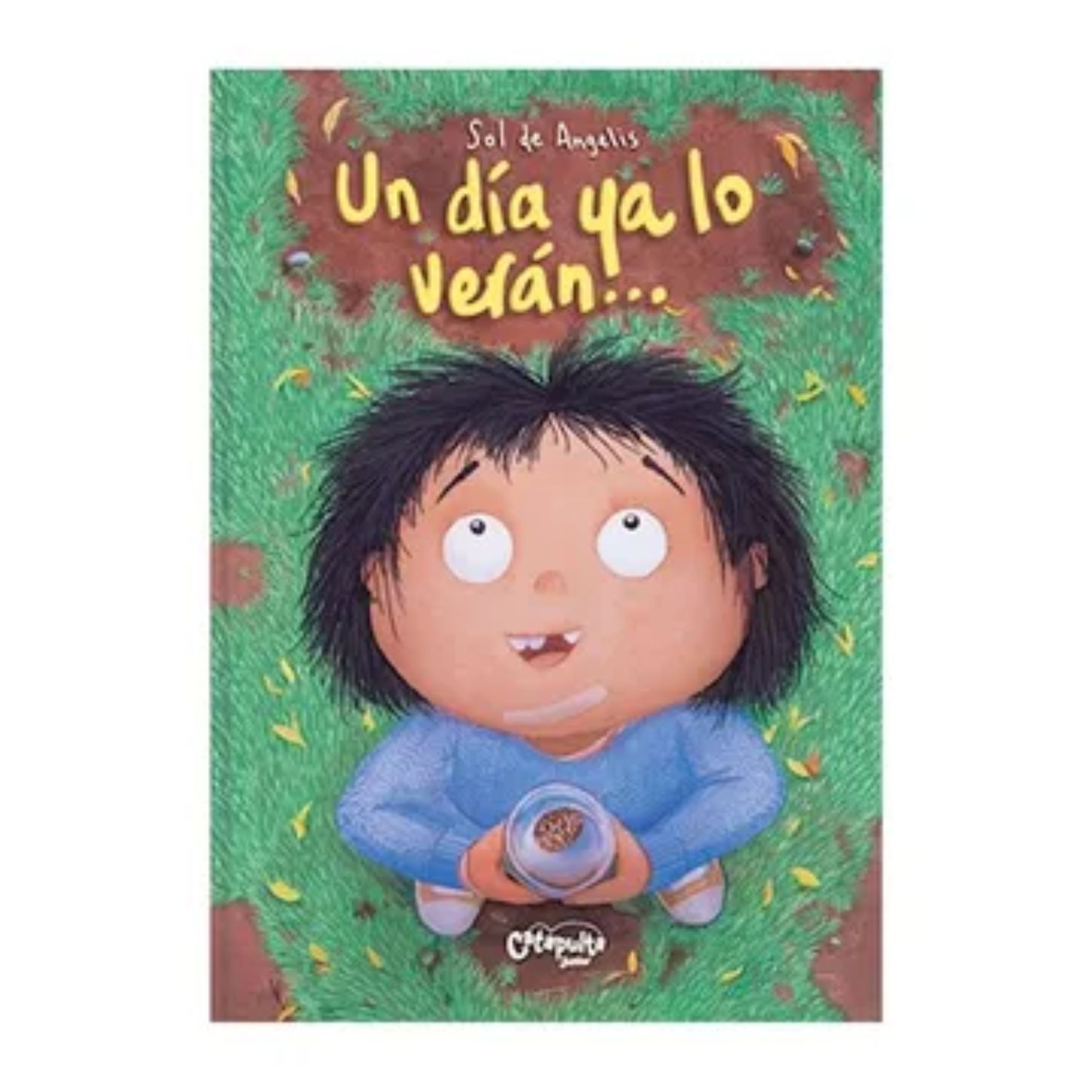 LIBRO UN DÍA YA LO VERÁN... - DE ANGELIS, SOL - 1