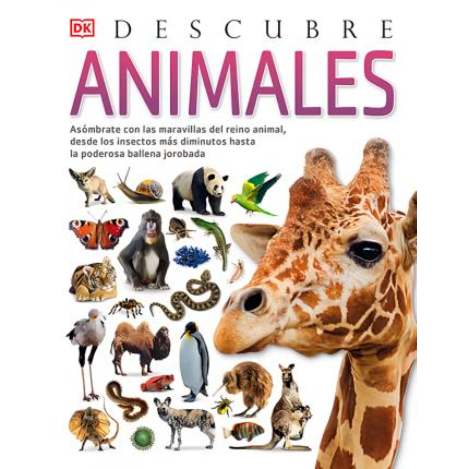 LIBRO DESCUBRE LOS ANIMALES - JACKSON, TOM - 1