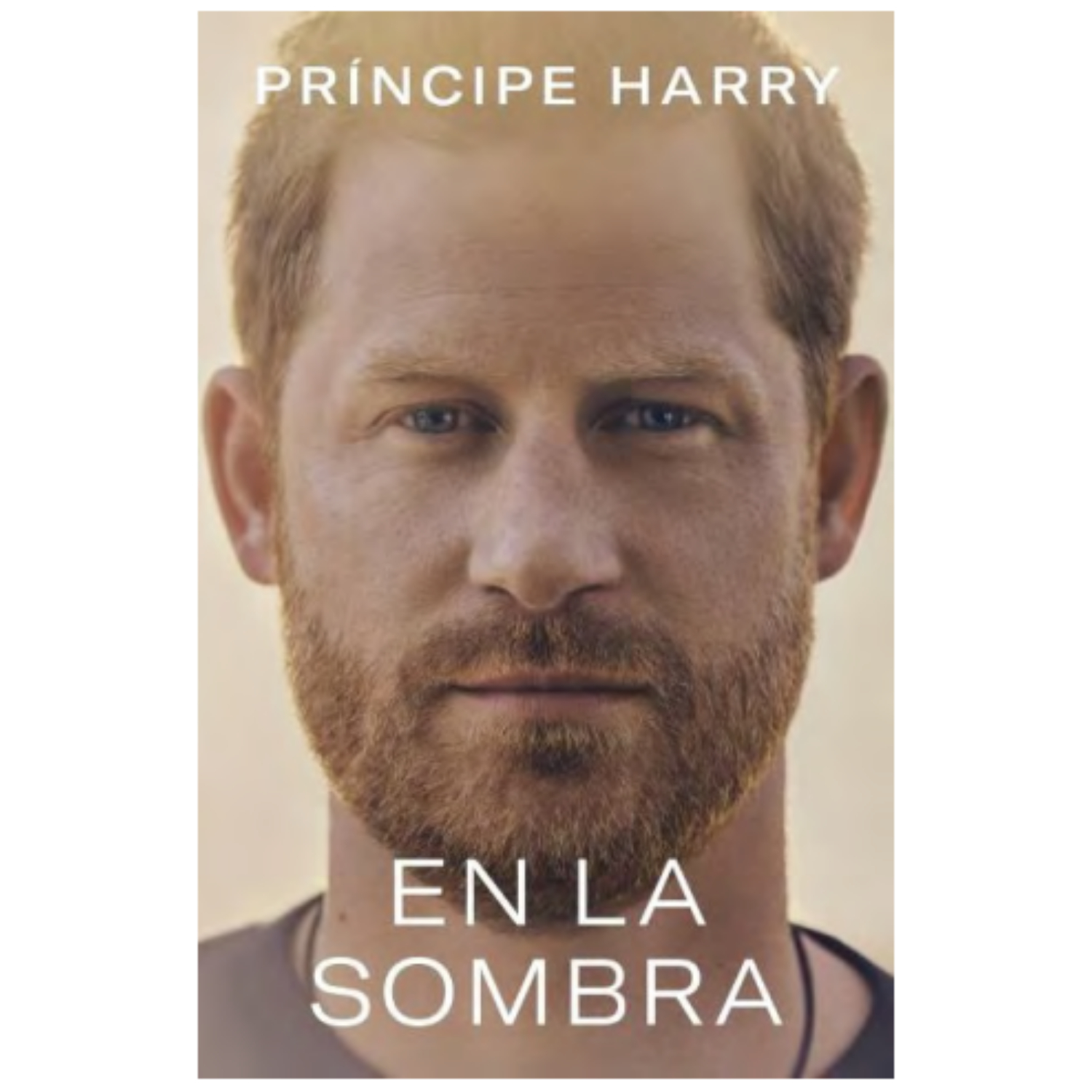 LIBRO DE HISTORIA Y HUMANIDADES EN LA SOMBRA HENRY CHARLES ALBERT DAVID - 1