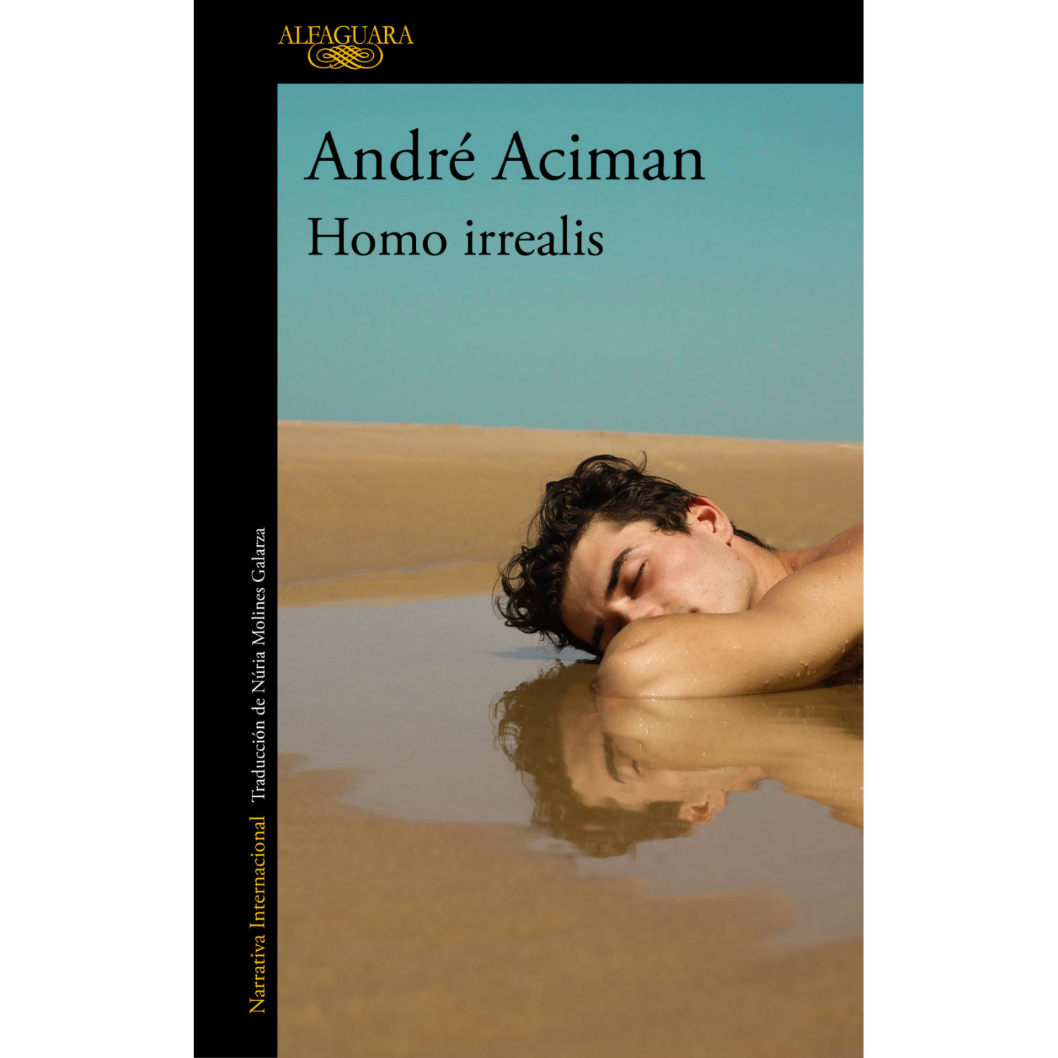 LIBRO HOMO IRREALIS ANDRÉ ACIMAN - 1