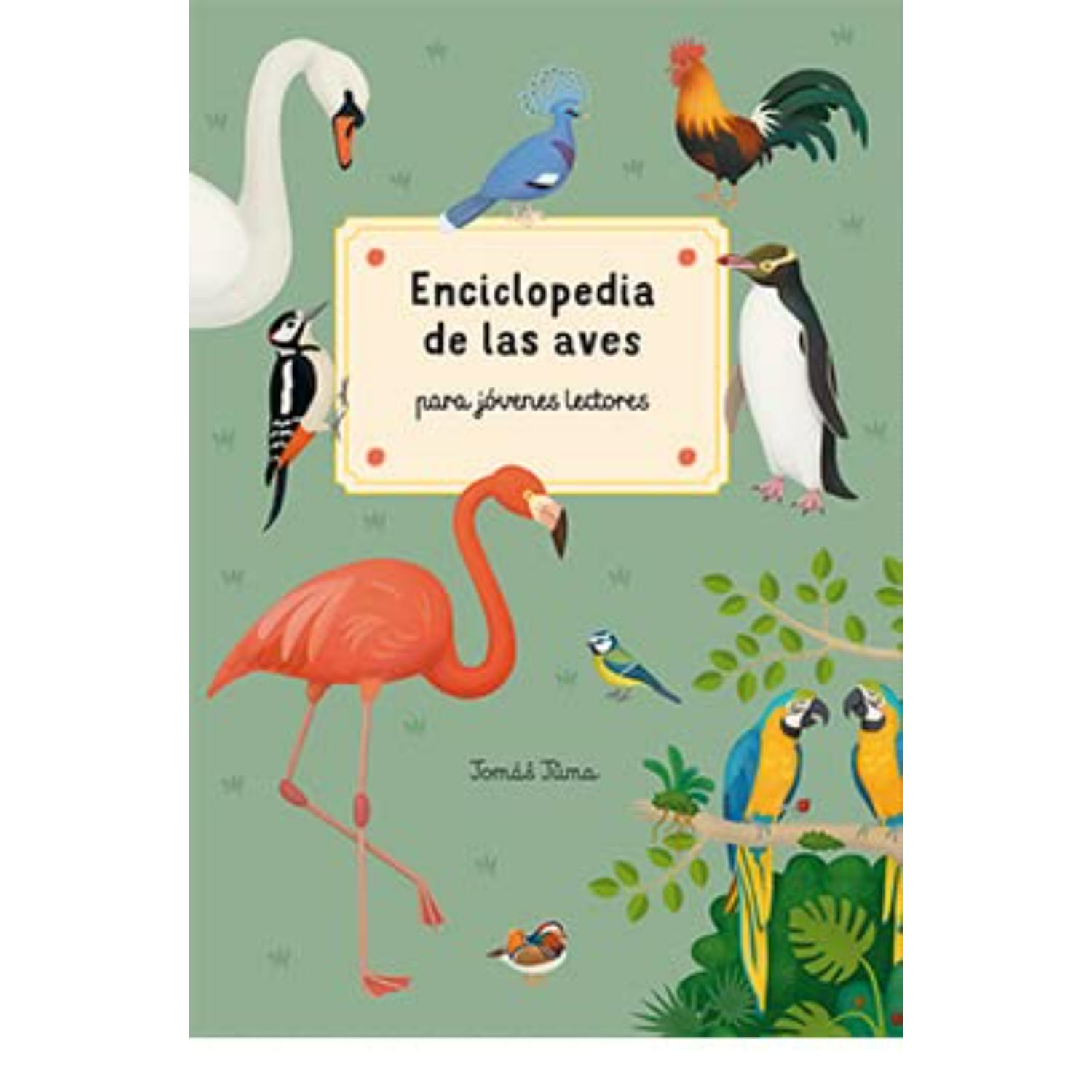 ENCICLOPEDIA DE LAS AVES - 1