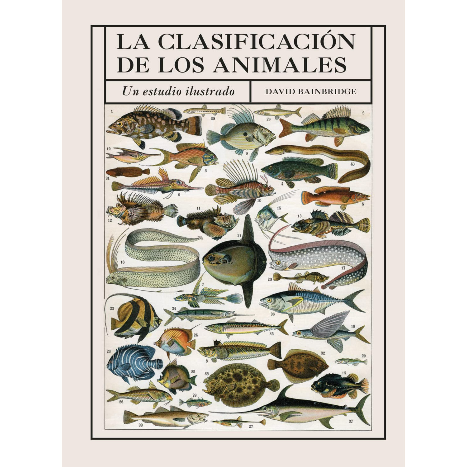 LIBRO LA CLASIFICACIÓN DE LOS ANIMALES DAVID BAINDRIDGE - 1