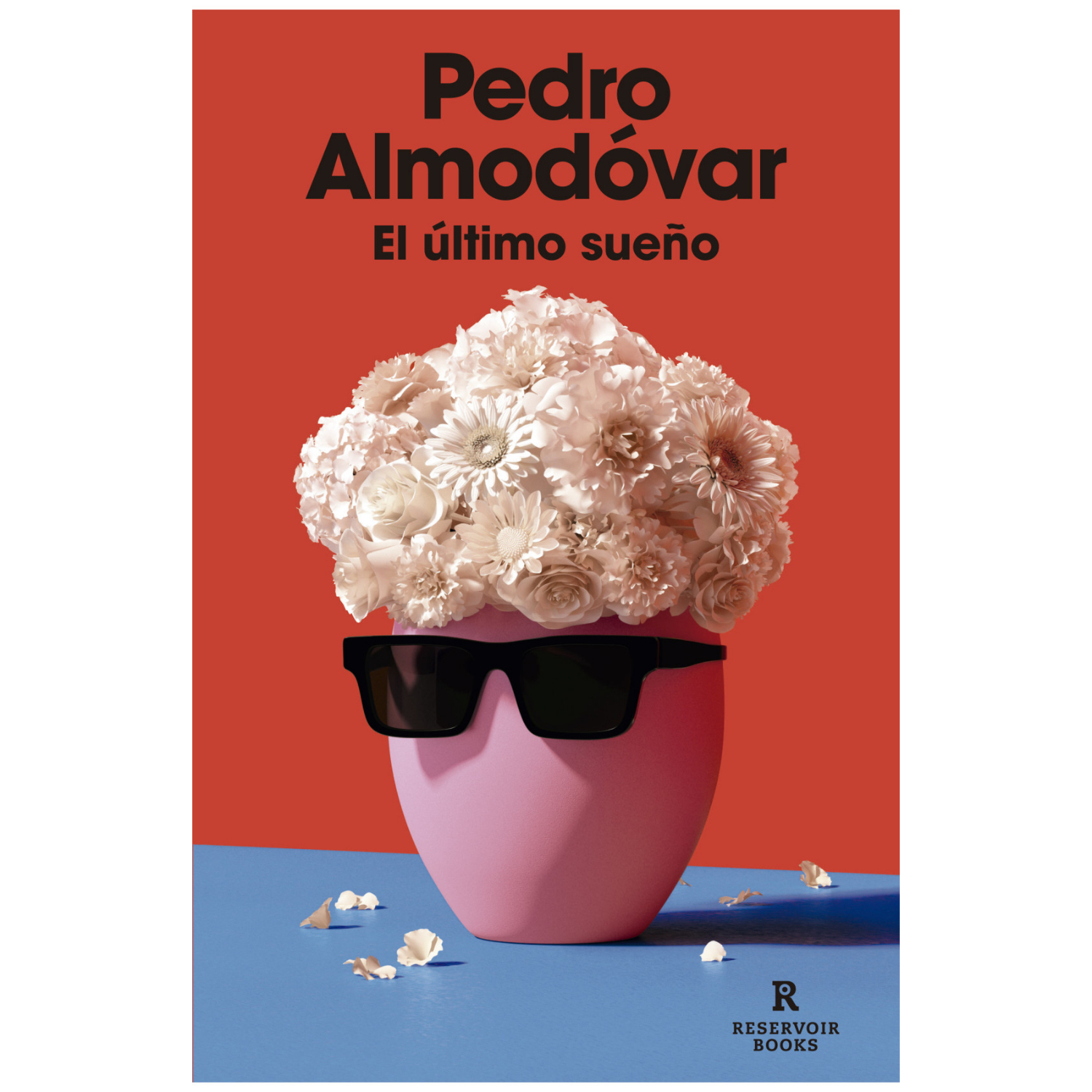 LIBRO EL ULTIMO SUEÑO PEDRO ALMODÓVAR - 1