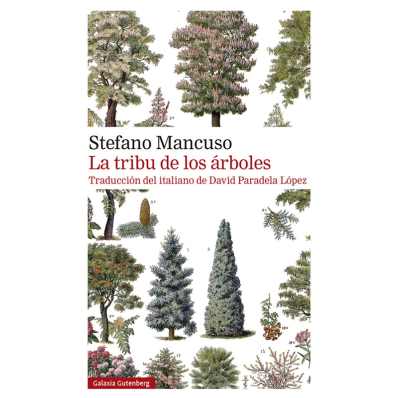 LIBRO LA TRIBU DE LOS ARBOLES STEFANO MANCUSO - 1