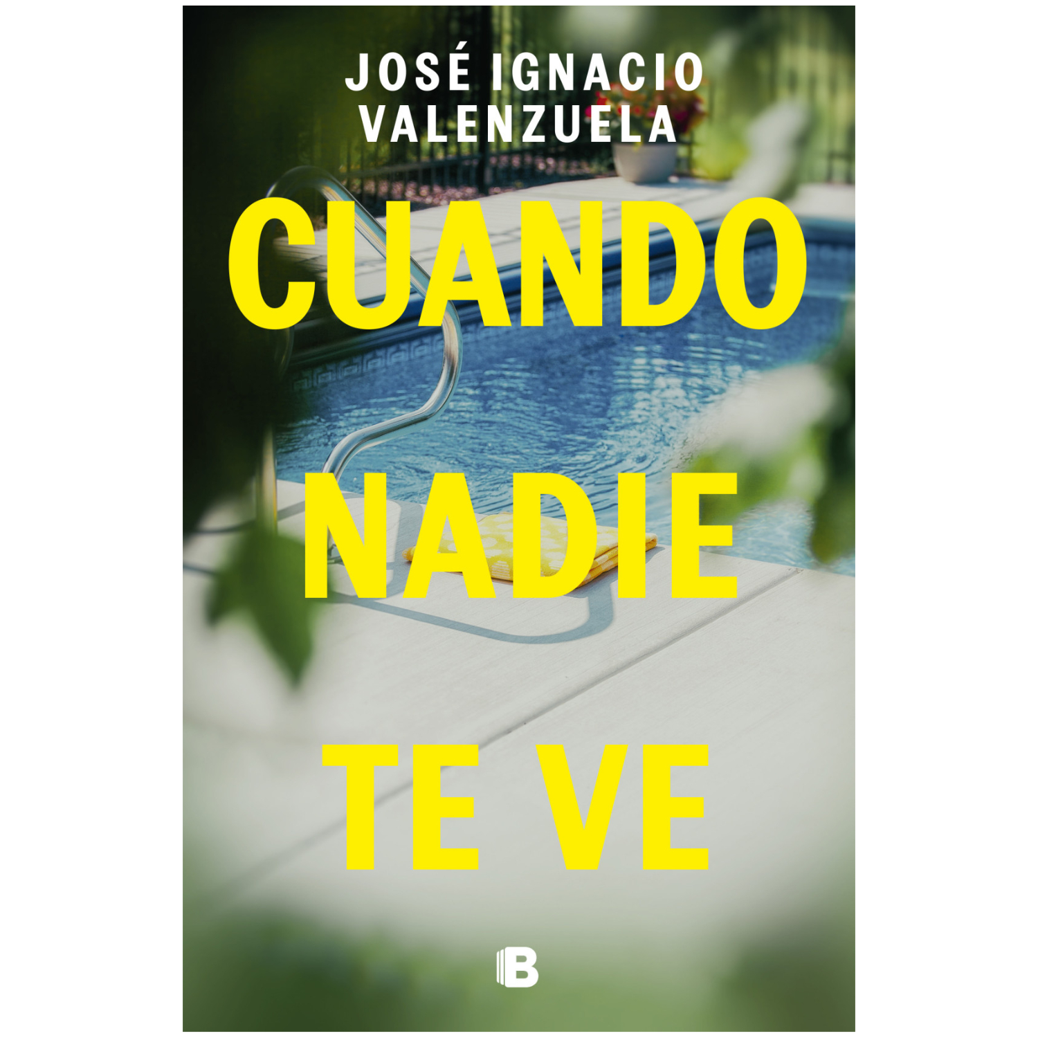 LIBRO CUANDO NADIE TE VE - VALENZUELA, JOSÉ IGNACIO - 1