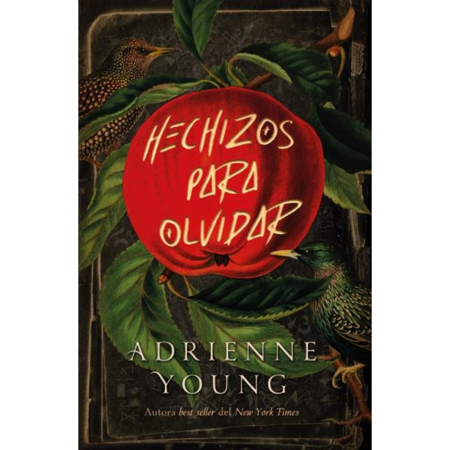 LIBRO HECHIZOS PARA OLVIDAR - YOUNG, ADRIENNE - 1