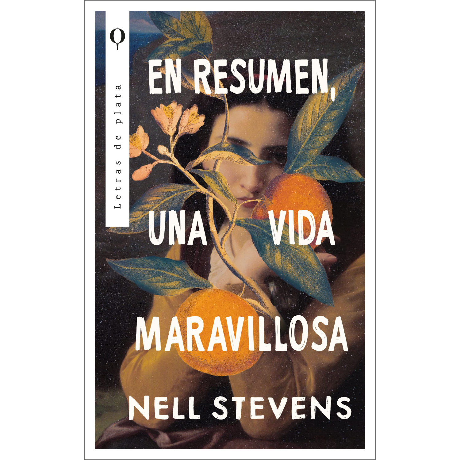 LIBRO EN RESUMEN, UNA VIDA MARAVILLOSA - NELL, STEVENS - 1