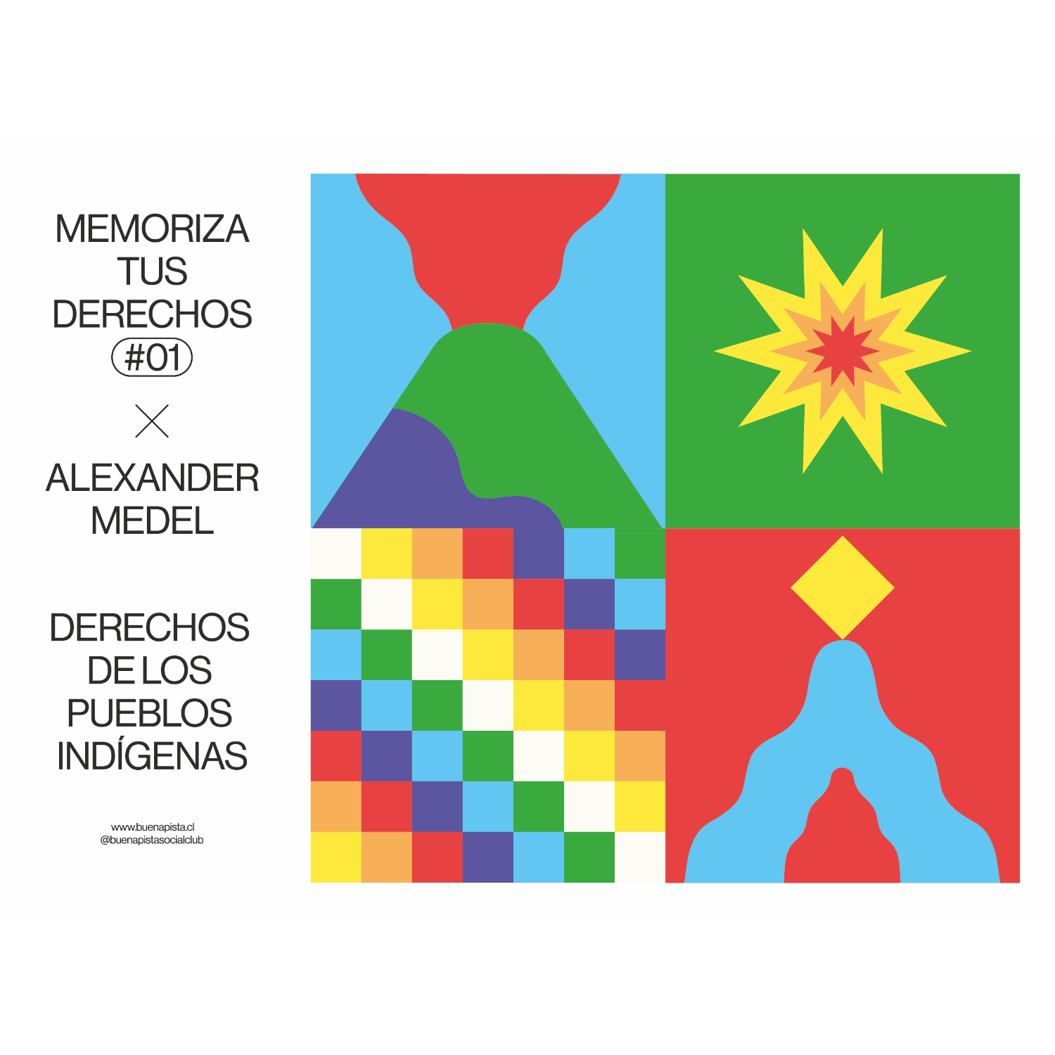 LIBRO DERECHOS DE LOS PUEBLOS INDIGENAS - MEDEL, ALEXANDER