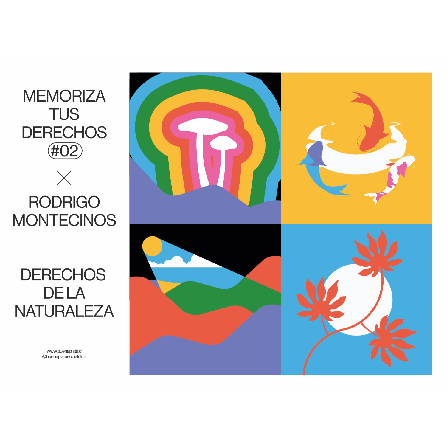 LIBRO DERECHOS DE LA NATURALEZA - MONTECINOS, RODRIGO
