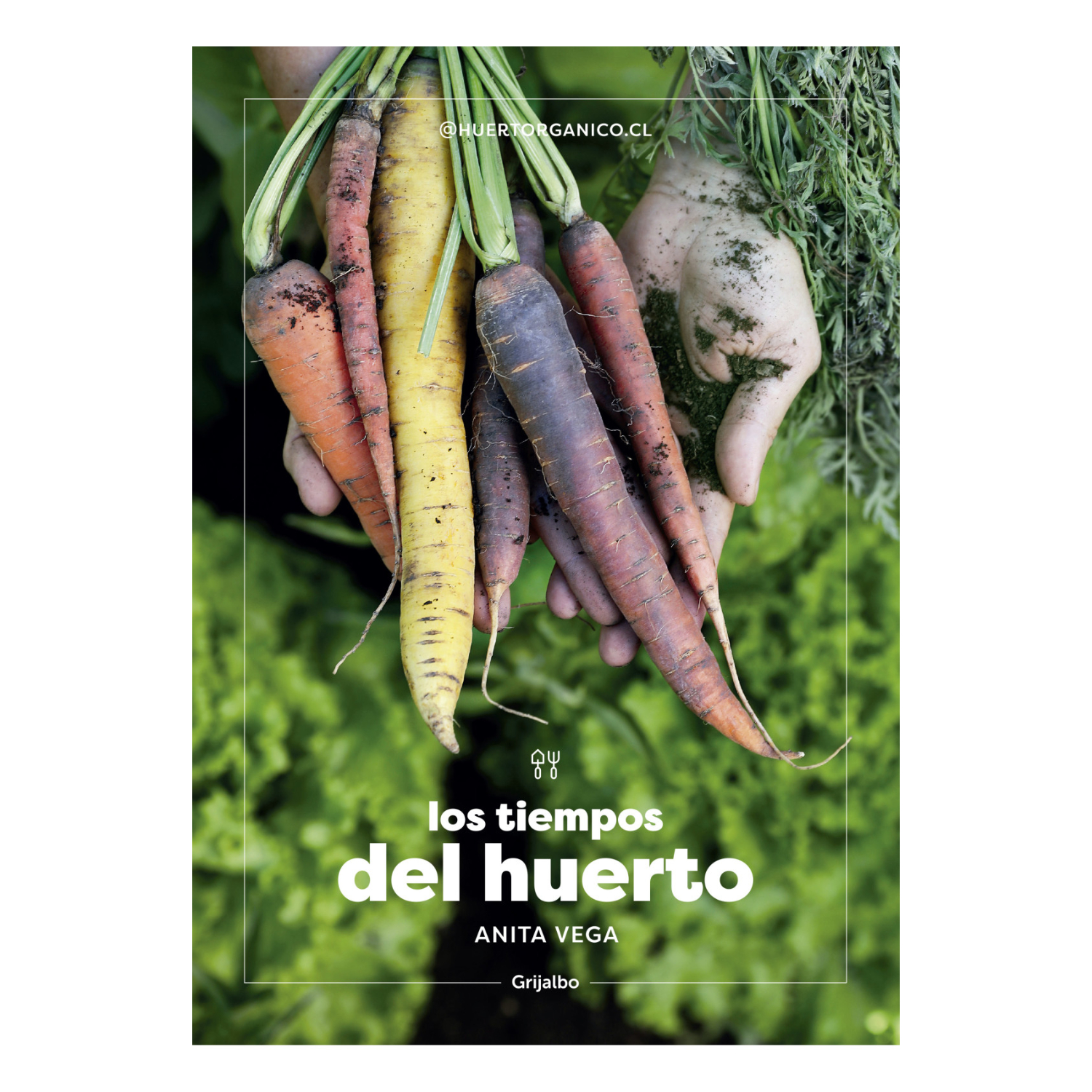 LIBRO LOS TIEMPOS DEL HUERTO - VEGA, ANA - 1