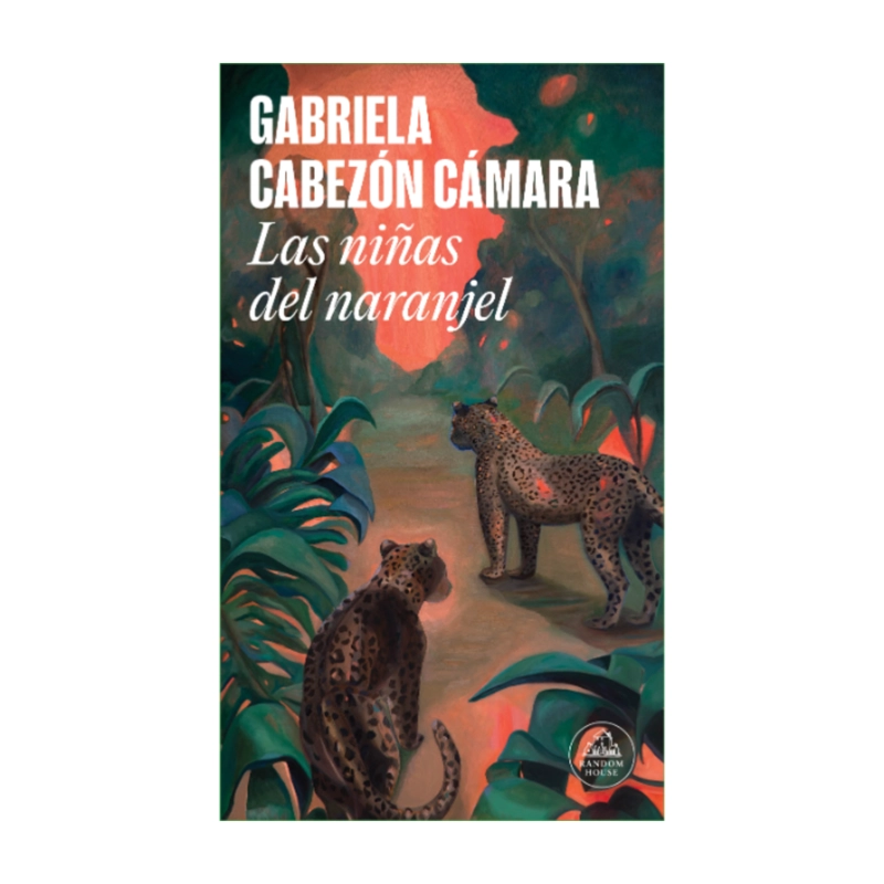 LIBRO LAS NIÑAS DEL NARANJEL - CABEZÓN CÁMARA, GABRIELA - 1