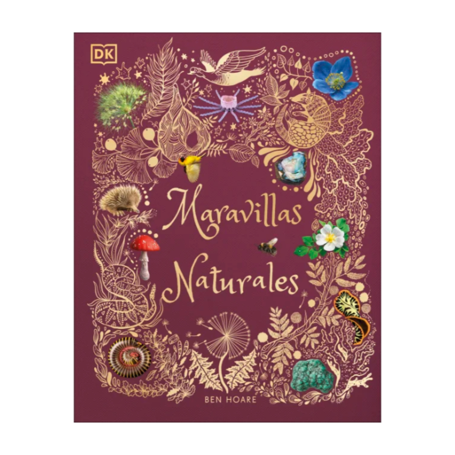 LIBRO MARAVILLAS NATURALES (ÁLBUM ILUSTRADO) - HOARE, BEN - 1