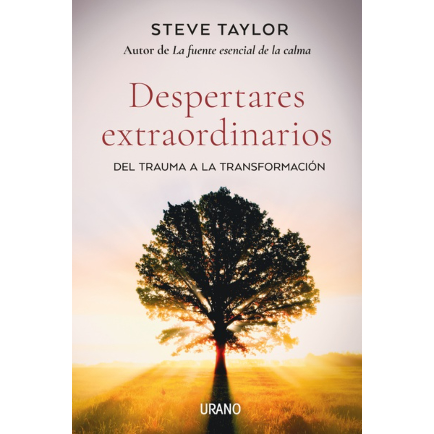 LIBRO DESPERTARES EXTRAORDINARIOS TAYLOR, STEVE