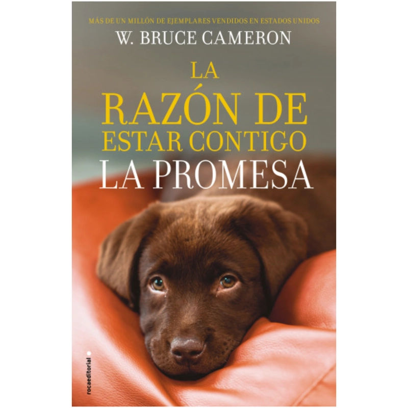 LIBRO LA RAZON DE ESTAR CONTIGO (LA PROMESA) - CAMERON, W. BRUCE - 1