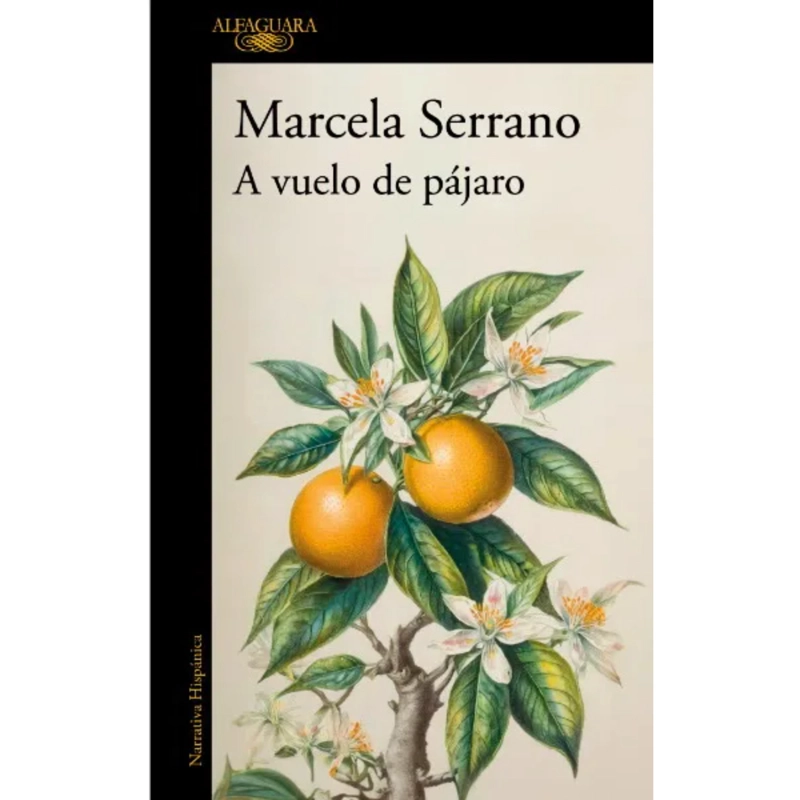 A VUELO DE PAJARO - 1
