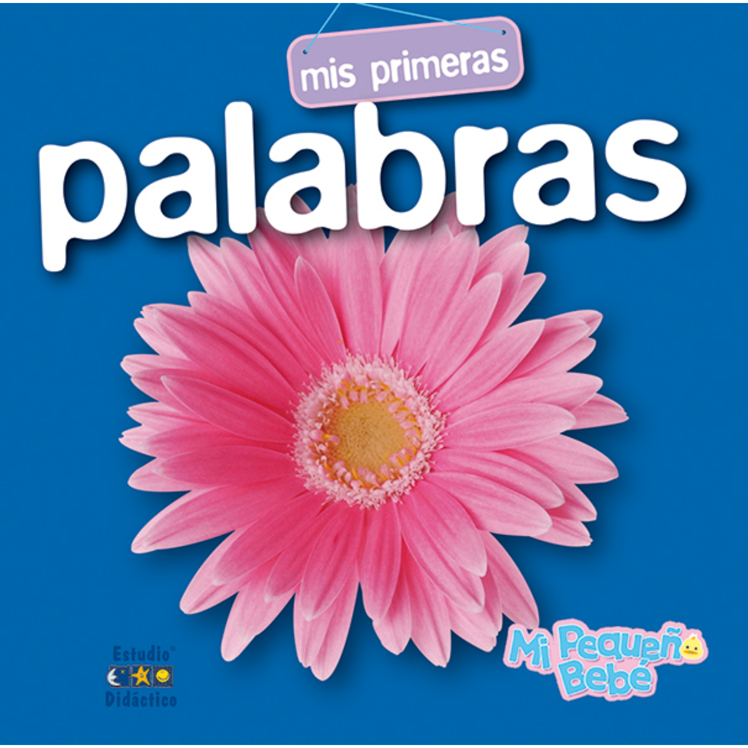 MIS PRIMERAS PALABRAS (MI PEQUEÑO BEBE) - 1
