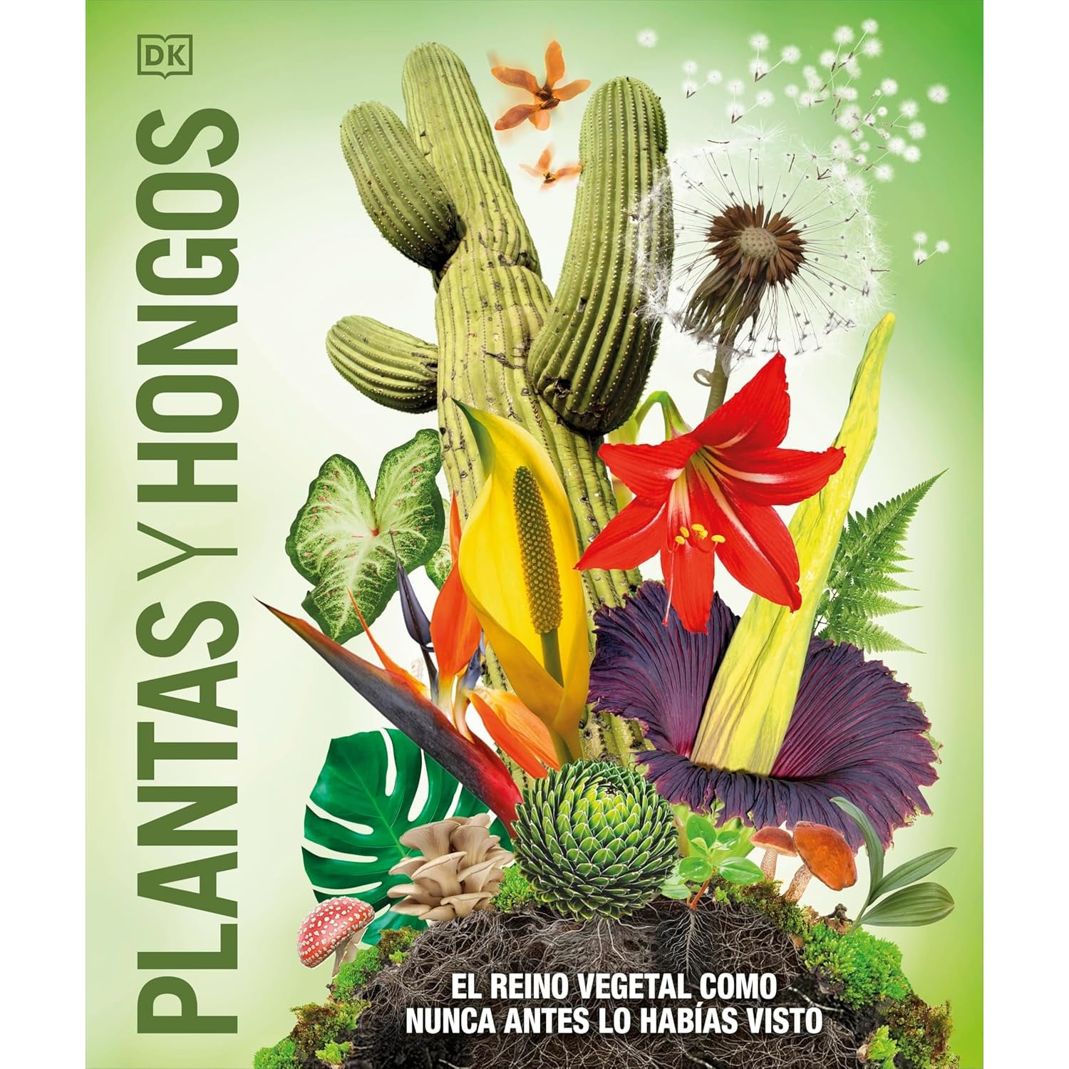 LIBRO PLANTAS Y HONGOS EQUIPO EDITORIAL - 1