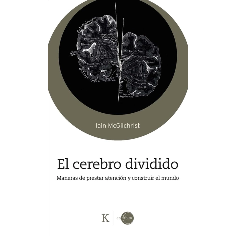 EL CEREBRO DIVIDIVO - 1