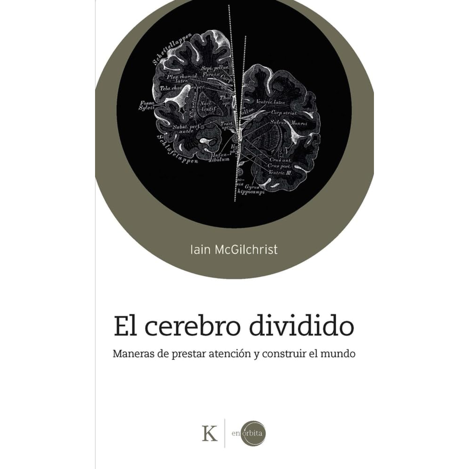 EL CEREBRO DIVIDIVO - 1