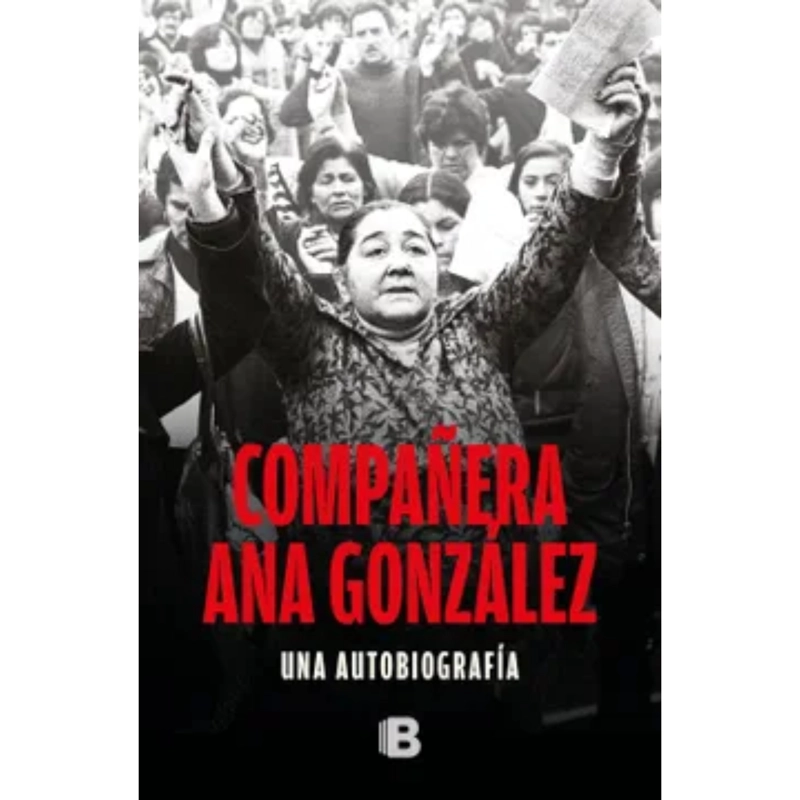 COMPAÑERA ANA GONZALEZ - 1