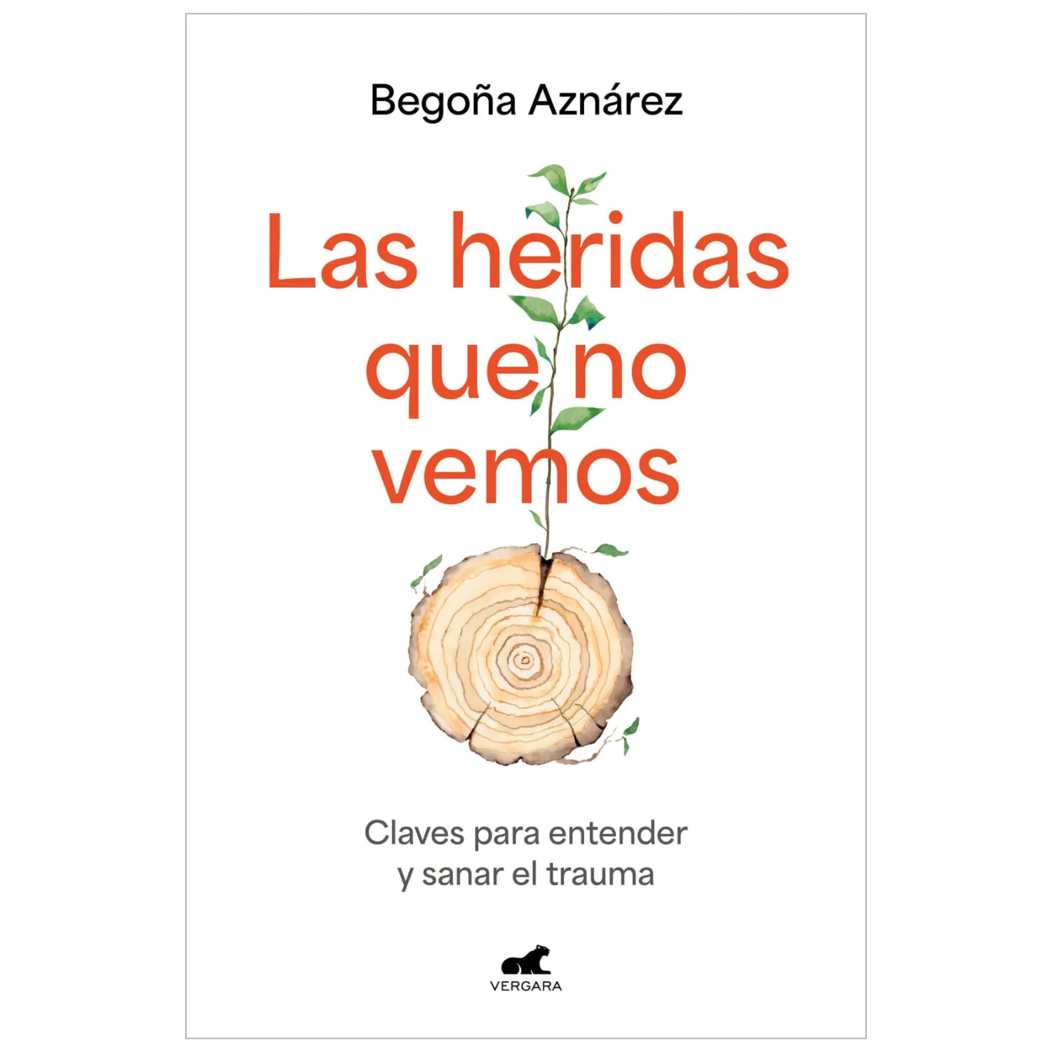 LAS HERIDAS QUE NO VEMOS