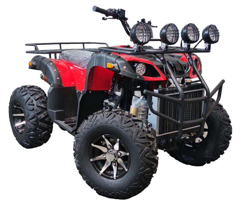 CUATRIMOTO 300CC-AUTOMATICA - 1