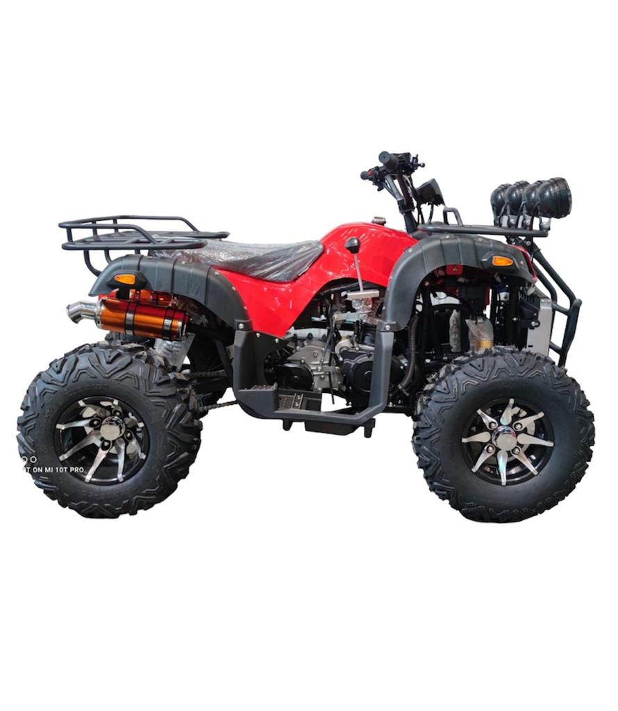 CUATRIMOTO 300CC-AUTOMATICA - 2